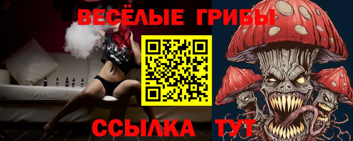 Волгоград  Псилоцибиновые грибы Psilocybe  Галлюциногенные грибы GOLDEN TEACHER  Вход с VPN 